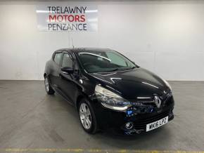 RENAULT CLIO at Trelawny Penzance