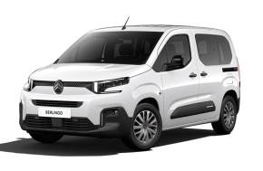 CITROEN BERLINGO ESTATE at Trelawny Penzance